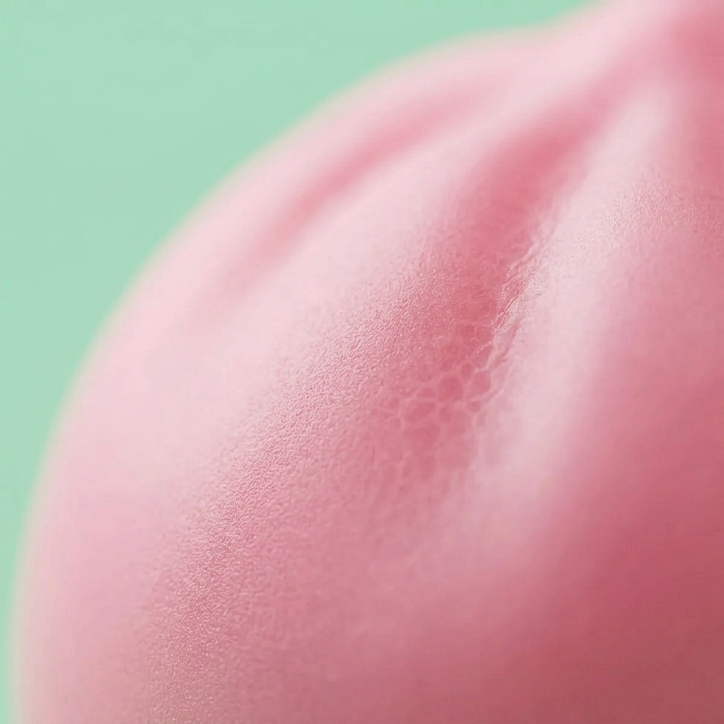 Dumpling Squishy Pinkki Bambukorissa — makrolähikuva tekstuurista