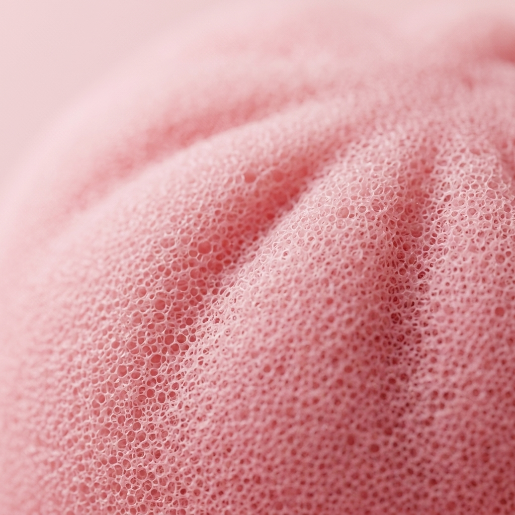 Pink Squishy Dumpling Kukkapehmeä — makrolähikuva tekstuurista