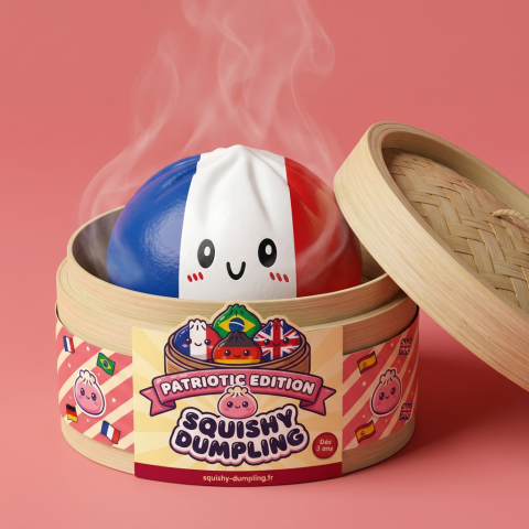 France Flag Squishy Dumpling Trikolori bambutyylisessä höyrykorirasiassaan